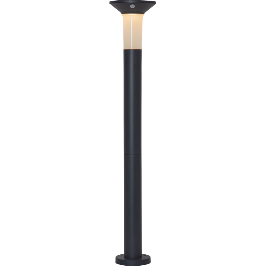 Eglo - LED Zunanja solarna svetilka s senzorjem 6xLED/0,03W/3,7V 1500 mAh IP44