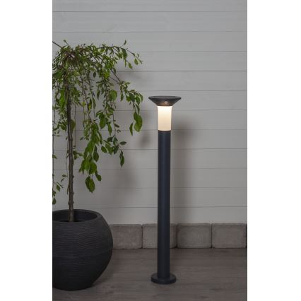 Eglo - LED Zunanja solarna svetilka s senzorjem 6xLED/0,03W/3,7V 1500 mAh IP44