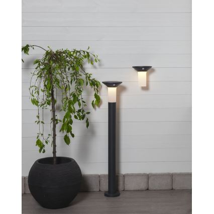 Eglo - LED Zunanja solarna svetilka s senzorjem 6xLED/0,03W/3,7V 1500 mAh IP44