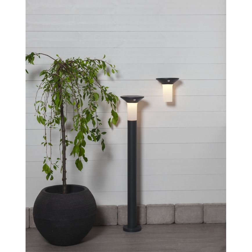 Eglo - LED Zunanja solarna svetilka s senzorjem 6xLED/0,03W/3,7V 1500 mAh IP44