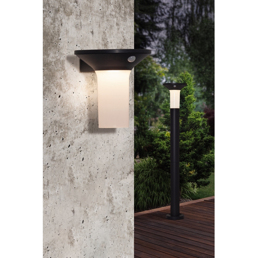 Eglo - LED Zunanja solarna svetilka s senzorjem 6xLED/0,03W/3,7V 1500 mAh IP44