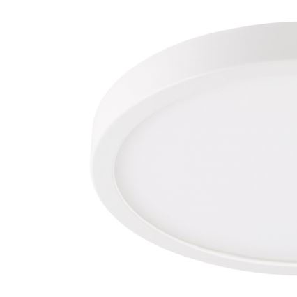 Eglo - LED Kopalniška stropna svetilka LED/20,5W/230V IP44 bela