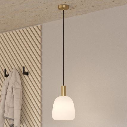 Eglo - Lestenec na vrvici 1xE27/40W/230V