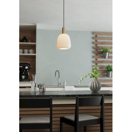 Eglo - Lestenec na vrvici 1xE27/40W/230V
