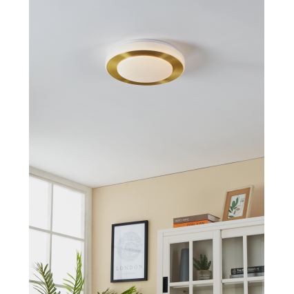 Eglo - LED Kopalniška stropna svetilka LED/10,8W/230V IP44