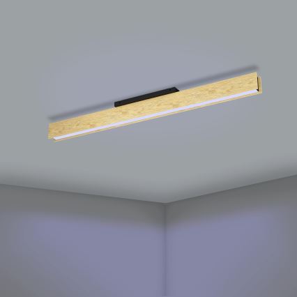 Eglo - LED RGBW Zatemnitvena stropna svetilka LED/35W/230V 2700-6500K