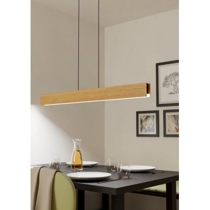 Eglo - LED RGBW Zatemnitveni lestenec na vrvici LED/35W/230V 2700-6500K