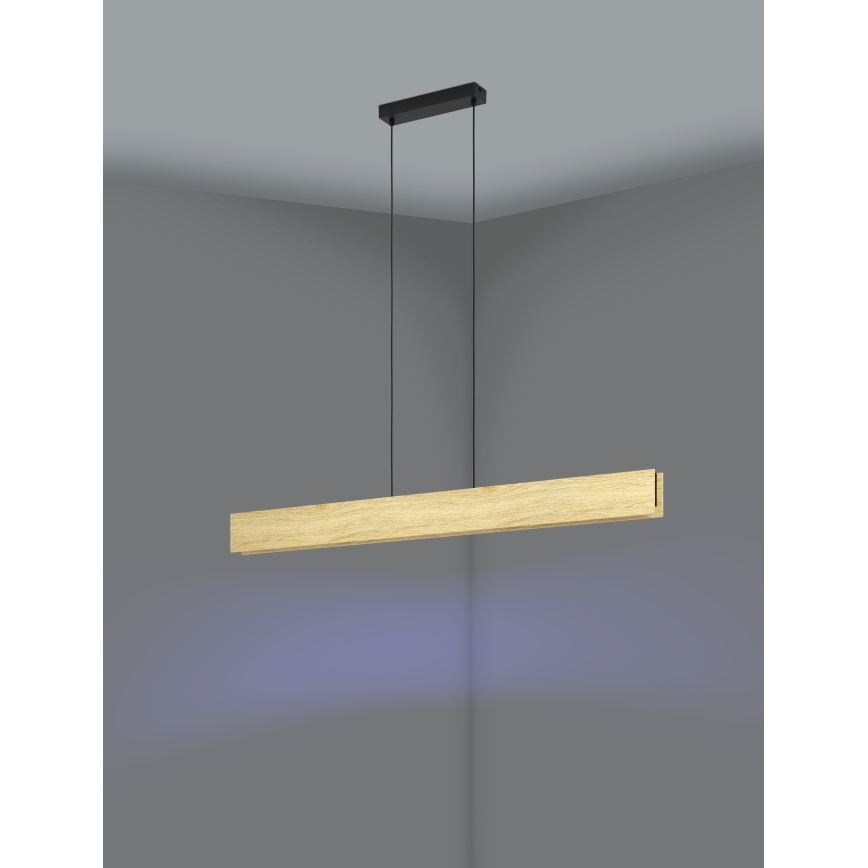 Eglo - LED RGBW Zatemnitveni lestenec na vrvici LED/35W/230V 2700-6500K