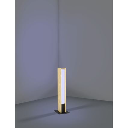 Eglo - LED RGBW Zatemnitvena namizna svetilka LED/16W/230V 2700-6500K