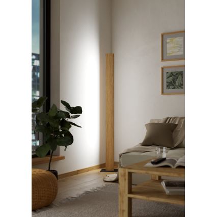 Eglo - LED RGBW Zatemnitvena stoječa svetilka LED/35W/230V 2700-6500K