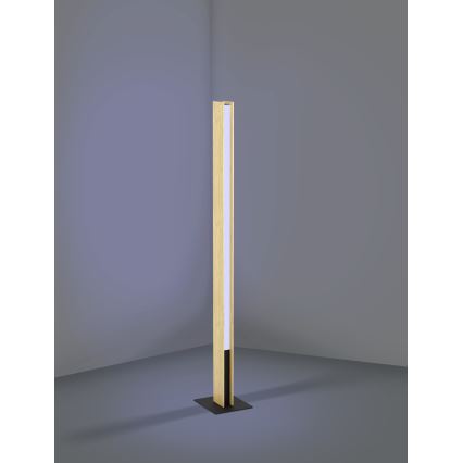 Eglo - LED RGBW Zatemnitvena stoječa svetilka LED/35W/230V 2700-6500K
