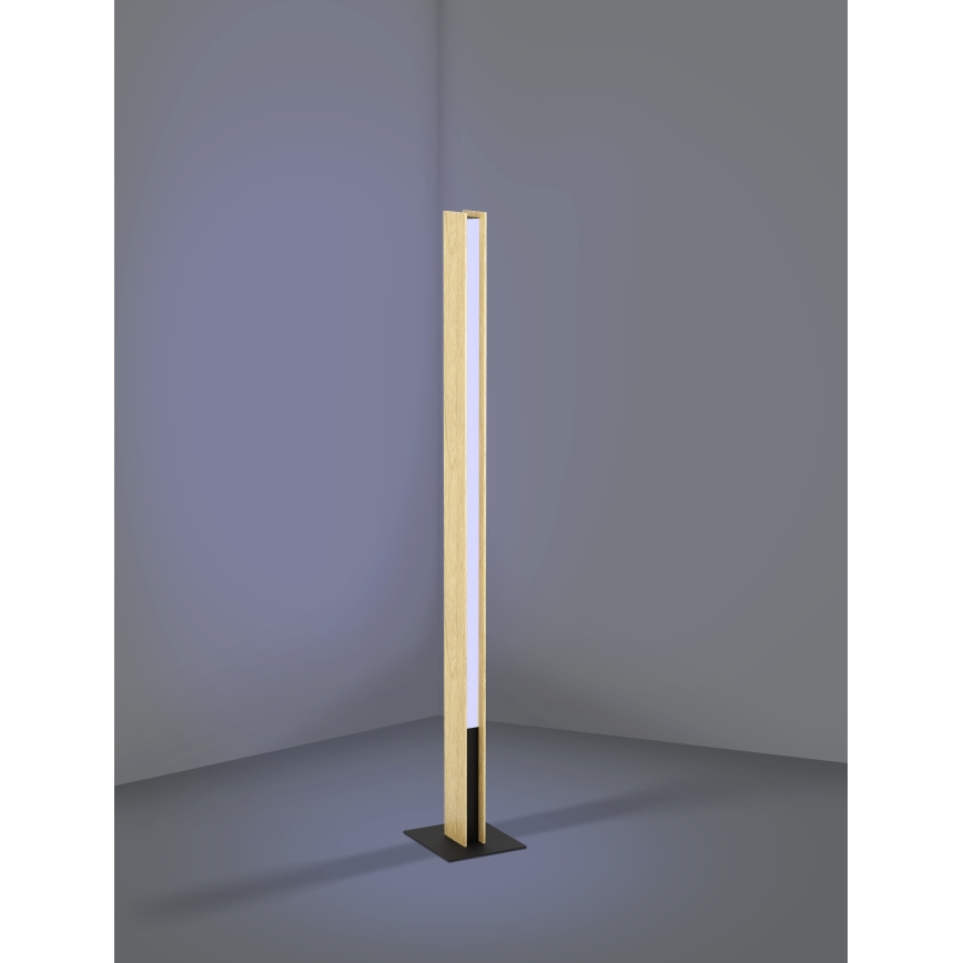 Eglo - LED RGBW Zatemnitvena stoječa svetilka LED/35W/230V 2700-6500K