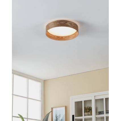 Eglo - LED Stropna svetilka LED/24W/230V