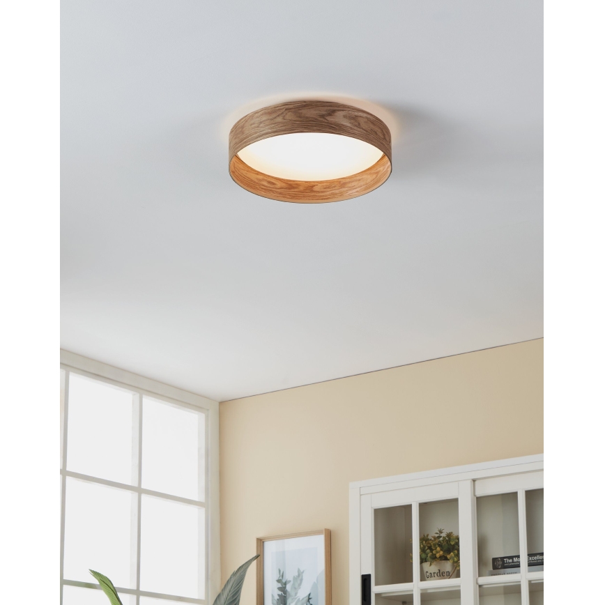Eglo - LED Stropna svetilka LED/24W/230V