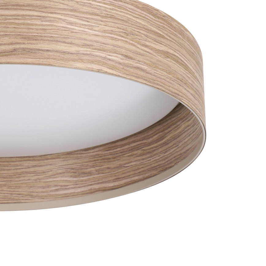 Eglo - LED Stropna svetilka LED/24W/230V