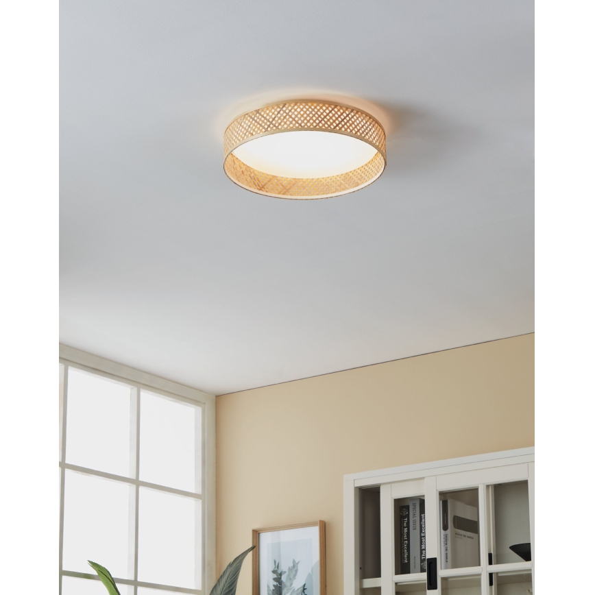 Eglo - LED Stropna svetilka LED/24W/230V