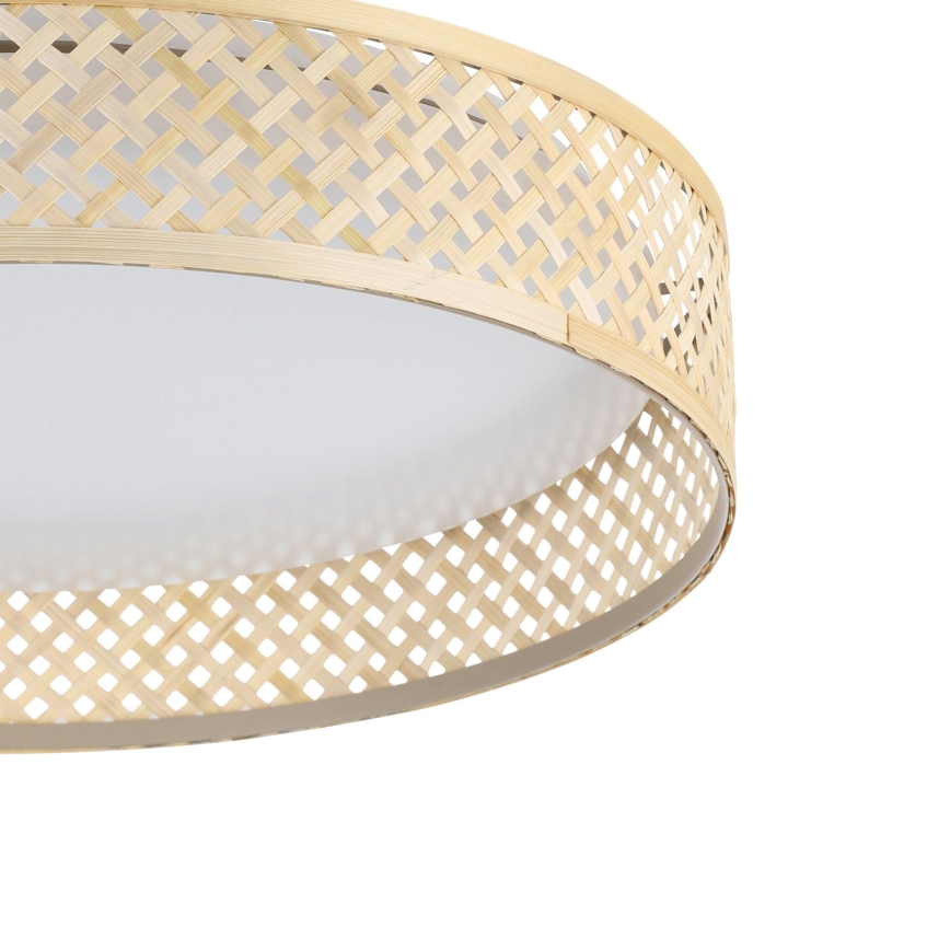 Eglo - LED Stropna svetilka LED/24W/230V