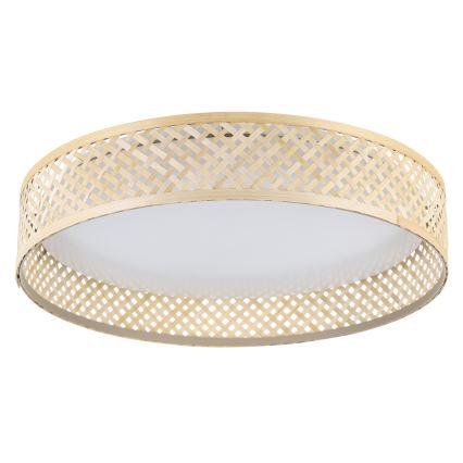 Eglo - LED Stropna svetilka LED/24W/230V