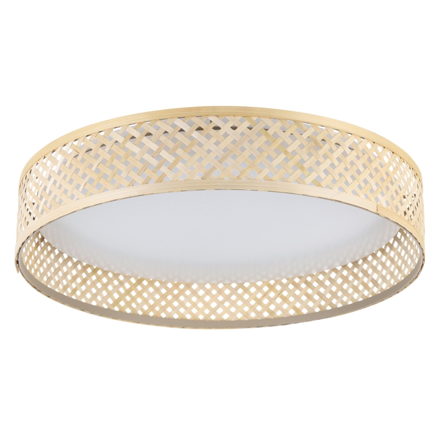 Eglo - LED Stropna svetilka LED/24W/230V