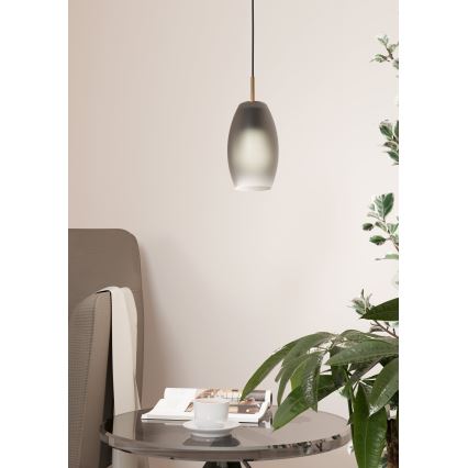 Eglo - Lestenec na vrvici 1xE27/40W/230V