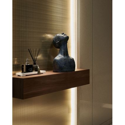 Eglo - LED Zatemnitveni trak 2m LED/13,2W/24/230V 2700-6500K + Daljinski upravljalnik