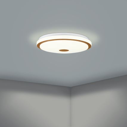 Eglo - LED Zatemnitvena stropna svetilka LED/24W/230V + Daljinski upravljalnik