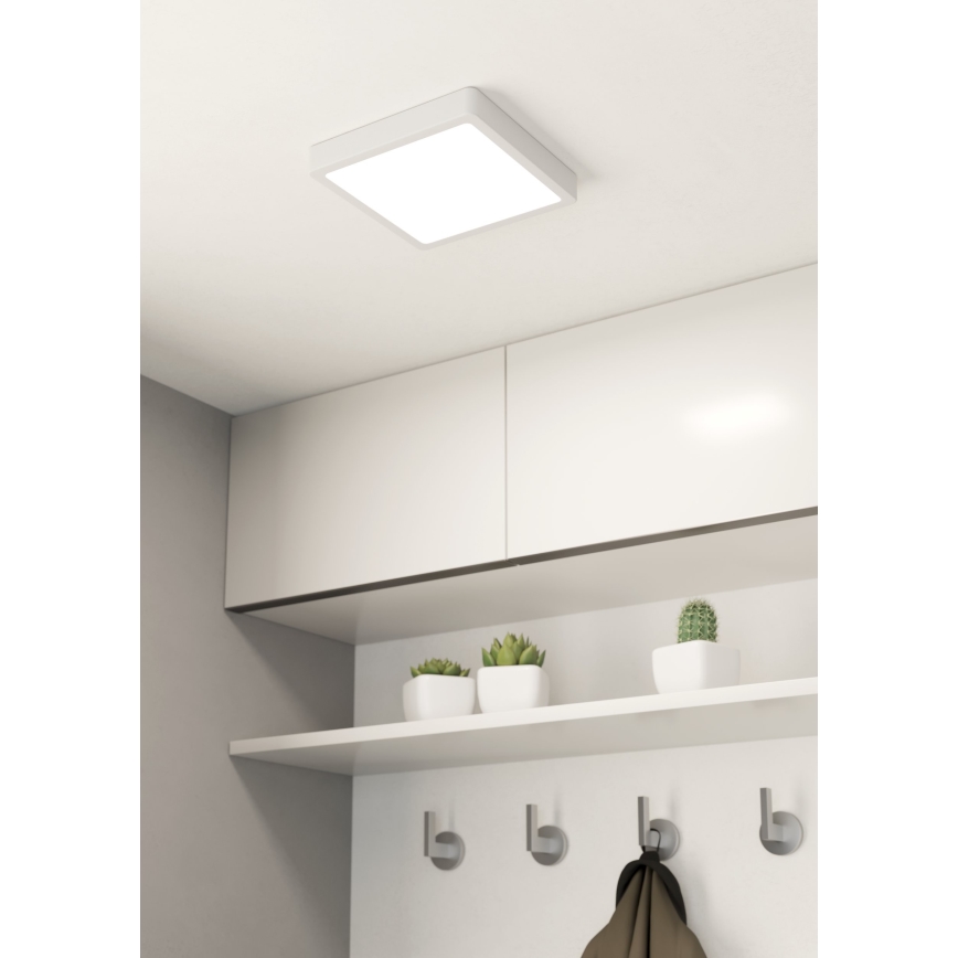 Eglo - Stropna LED svetilka za kopalnico LED/17W/230V IP44 bela 21x21 cm