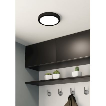 Eglo - LED Kopalniška stropna svetilka LED/17W/230V črna IP44