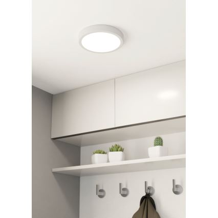 Eglo - LED Kopalniška stropna svetilka LED/17W/230V bela IP44