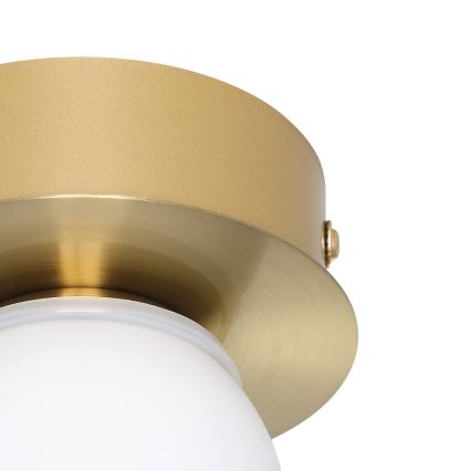 Eglo - LED Kopalniška stropna svetilka LED/3,3W/230V IP44 zlata