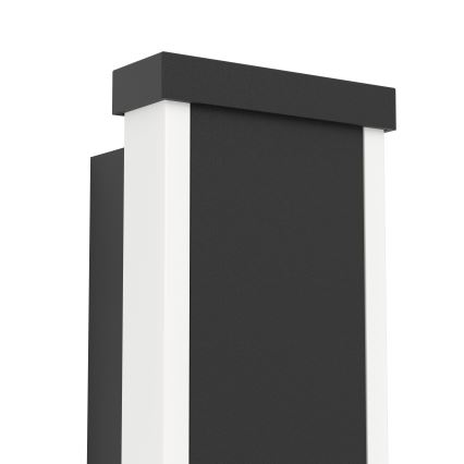 Eglo - LED Zunanja stenska svetilka 2xLED/3,7W/230V 3000K IP55