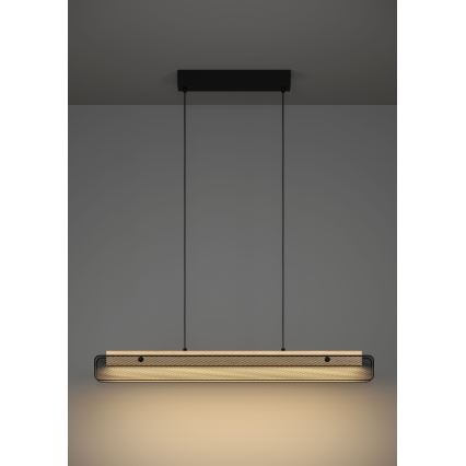 Eglo - LED RGBW Zatemnitveni lestenec na vrvici LED/34W/230V 2700-6500K