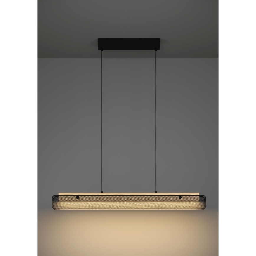 Eglo - LED RGBW Zatemnitveni lestenec na vrvici LED/34W/230V 2700-6500K