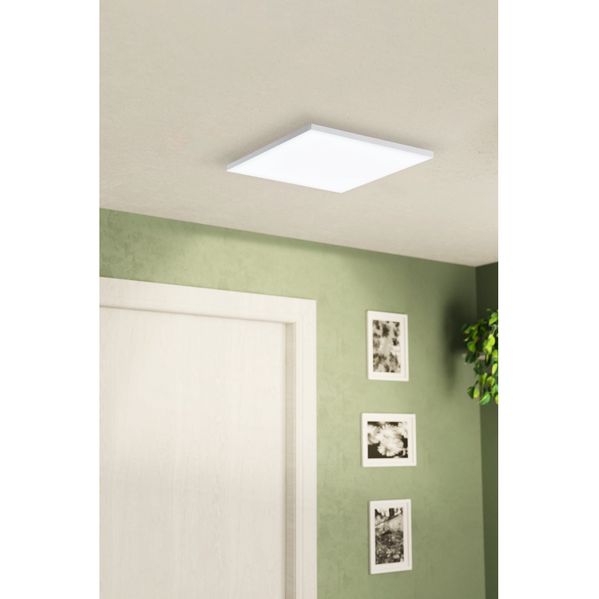 Eglo - LED Stropna svetilka LED/10,8W/230V