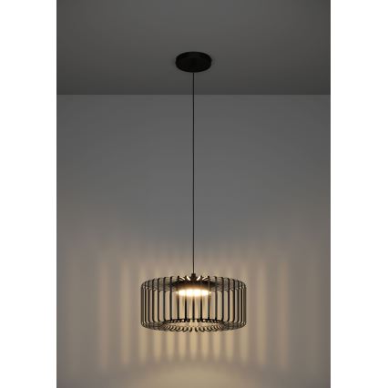 Eglo - LED RGBW Zatemnitveni lestenec na vrvici LED/22W/230V 2700-6500K