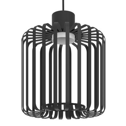 Eglo - LED RGBW Zatemnitveni lestenec na vrvici 3xLED/3,7W/230V 2700-6500K