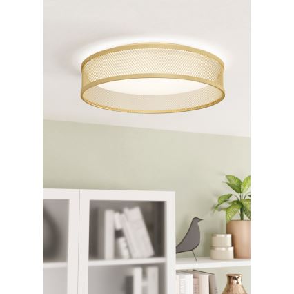 Eglo - LED Stropna svetilka LED/20W/230V zlata