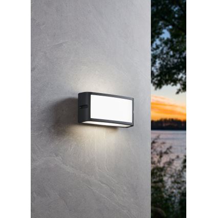 Eglo - LED Zunanja stenska svetilka LED/10,5W/230V antracit IP54