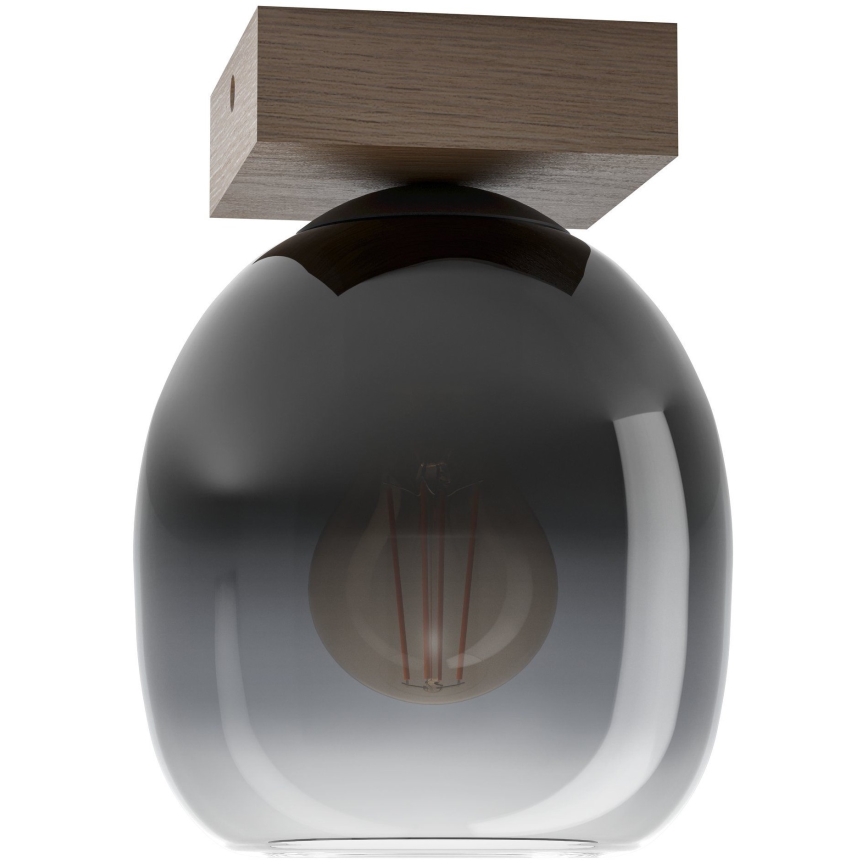 Eglo - Stropna svetilka 1xE27/40W/230V
