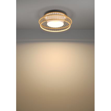 Eglo - LED RGBW Zatemnitvena stropna svetilka LED/22W/230V 2700-6500K