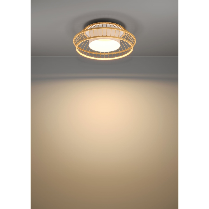 Eglo - LED RGBW Zatemnitvena stropna svetilka LED/22W/230V 2700-6500K
