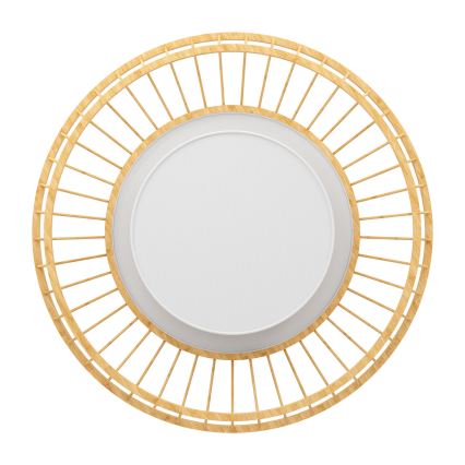 Eglo - LED RGBW Zatemnitvena stropna svetilka LED/22W/230V 2700-6500K