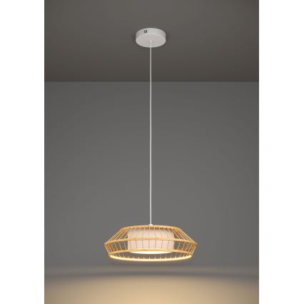Eglo - LED RGBW Zatemnitveni lestenec na vrvici LED/22W/230V 2700-6500K