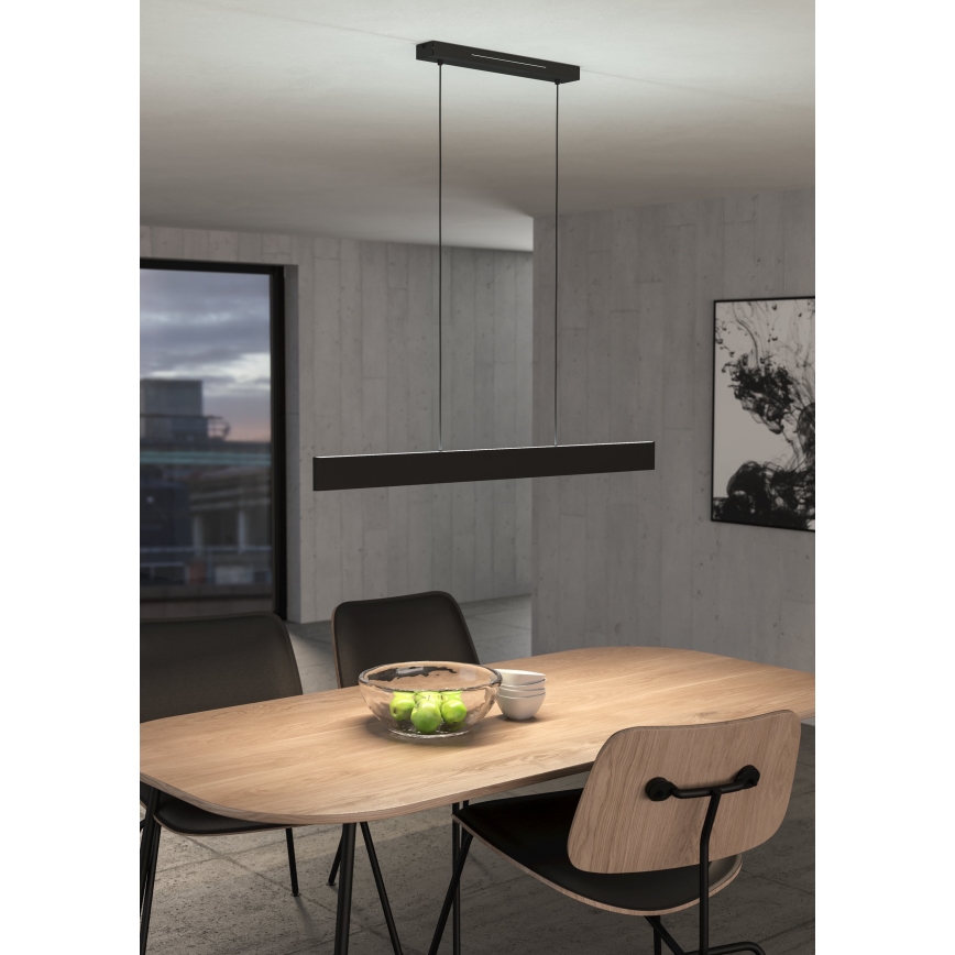 Eglo - LED RGBW Zatemnitveni lestenec na vrvici LED/38W/230V 2700-6500K črna