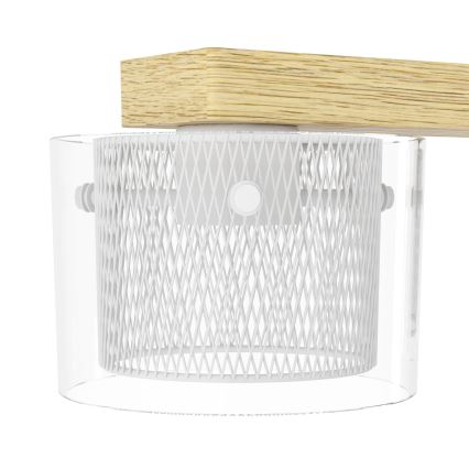 Eglo - LED RGBW Zatemnitveni lestenec na vrvici 4xLED/3,7W/230V 2700-6500K