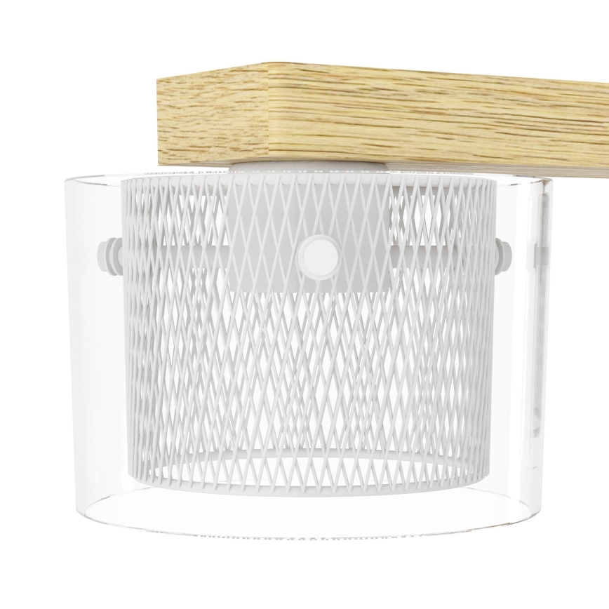 Eglo - LED RGBW Zatemnitveni lestenec na vrvici 4xLED/3,7W/230V 2700-6500K