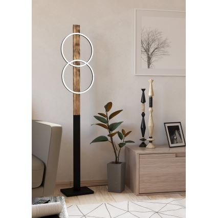 Eglo - LED Talna svetilka 2xLED/12W/230V 3000K rjava/črna