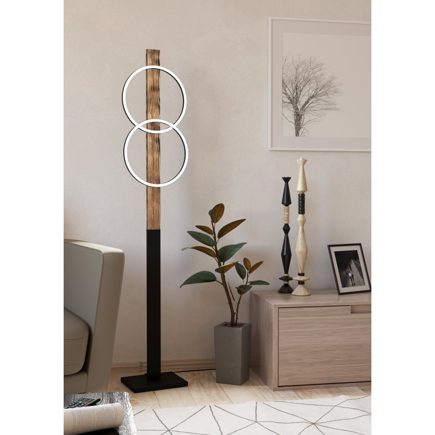 Eglo - LED Talna svetilka 2xLED/12W/230V 3000K rjava/črna