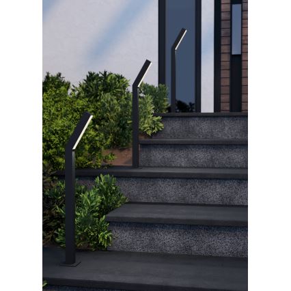 Eglo - LED zunanja svetilka 2xLED/4,5W/230V IP44 črna