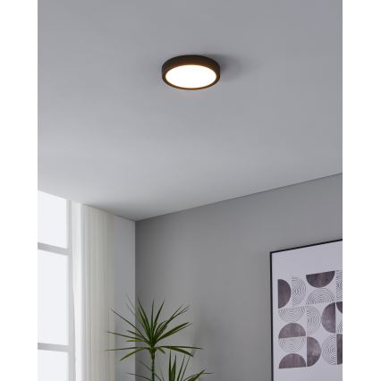 Eglo - LED Stropna svetilka s senzorjem LED/17W/230V 3000K črna